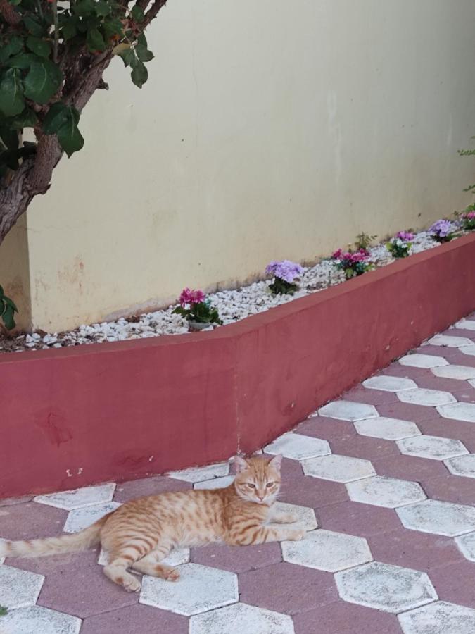 Hotel Takis Agios Georgios  Bagian luar foto